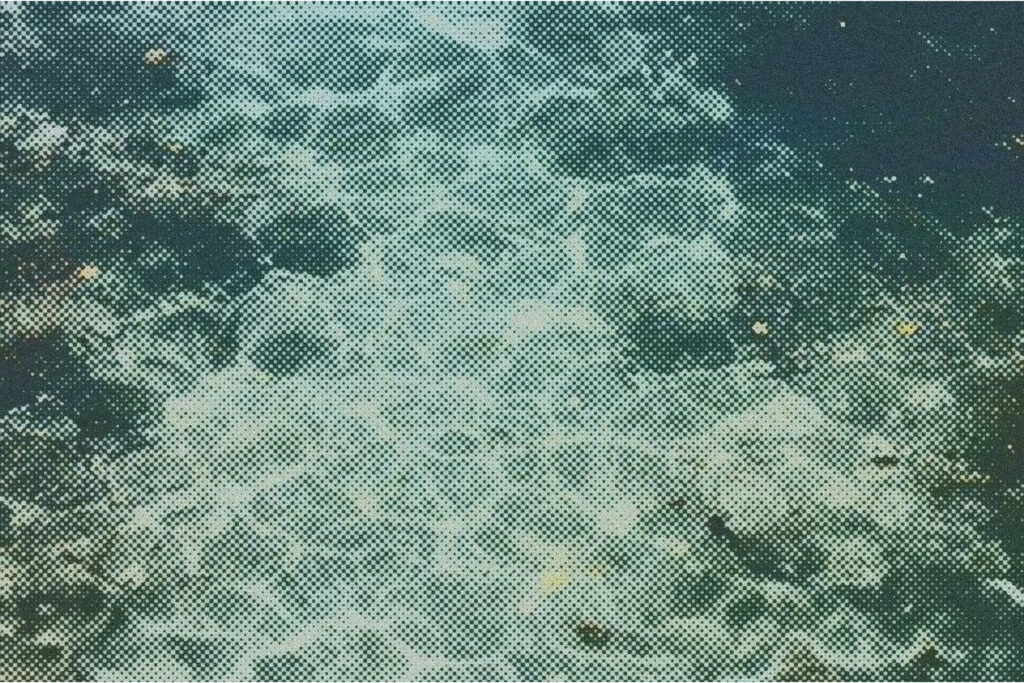 Activated Carbon Absorption